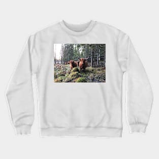 Scottish Highland Cattle Cow and Calf 1593 Crewneck Sweatshirt